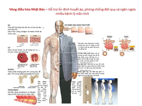 Có nên đeo vòng huyết áp